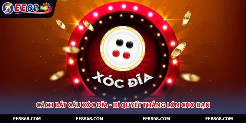 Cách Bắt Cầu Xóc Đĩa - Bí Quyết Thắng Lớn Cho Bạn