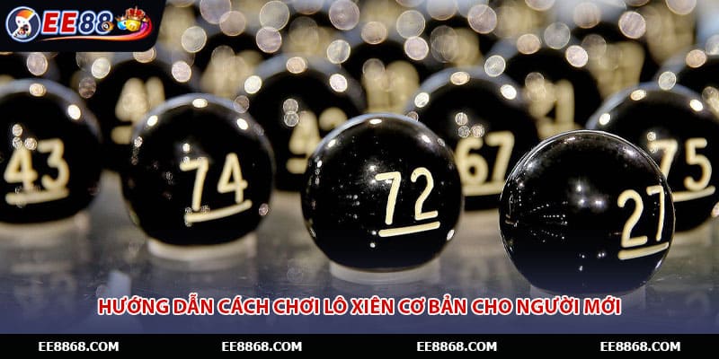 Hướng dẫn cách chơi lô xiên cơ bản cho người mới