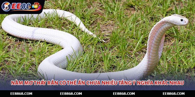 Nằm mơ thấy rắn có thể ẩn chứa nhiều tầng ý nghĩa khác nhau